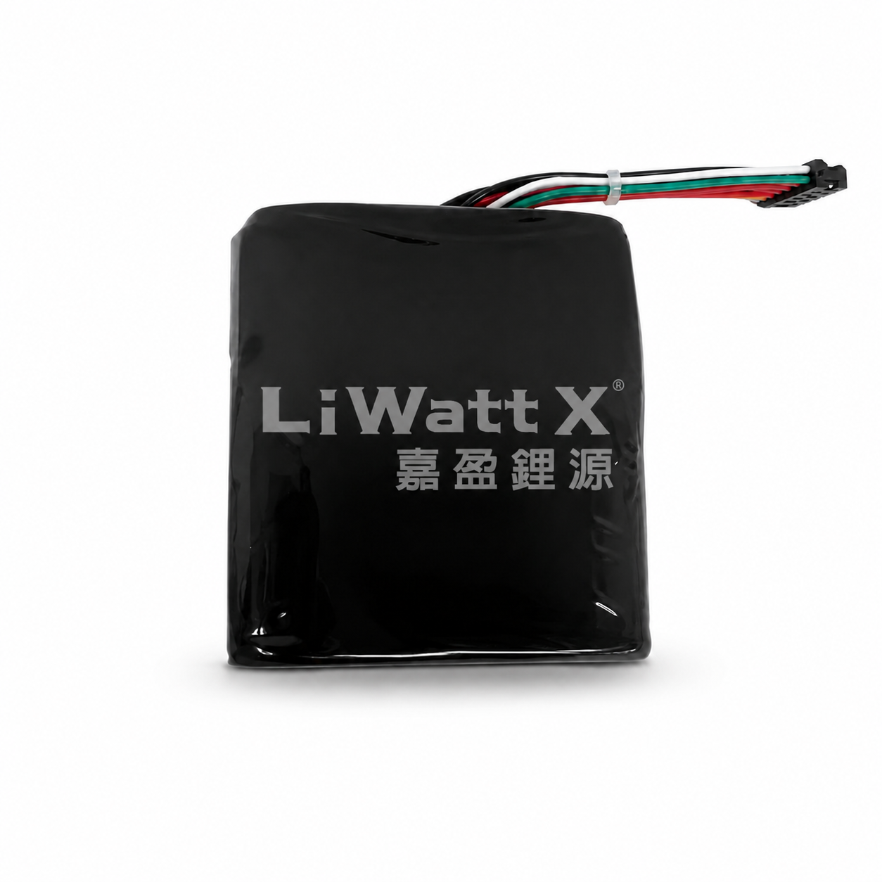 LWX-POS1100