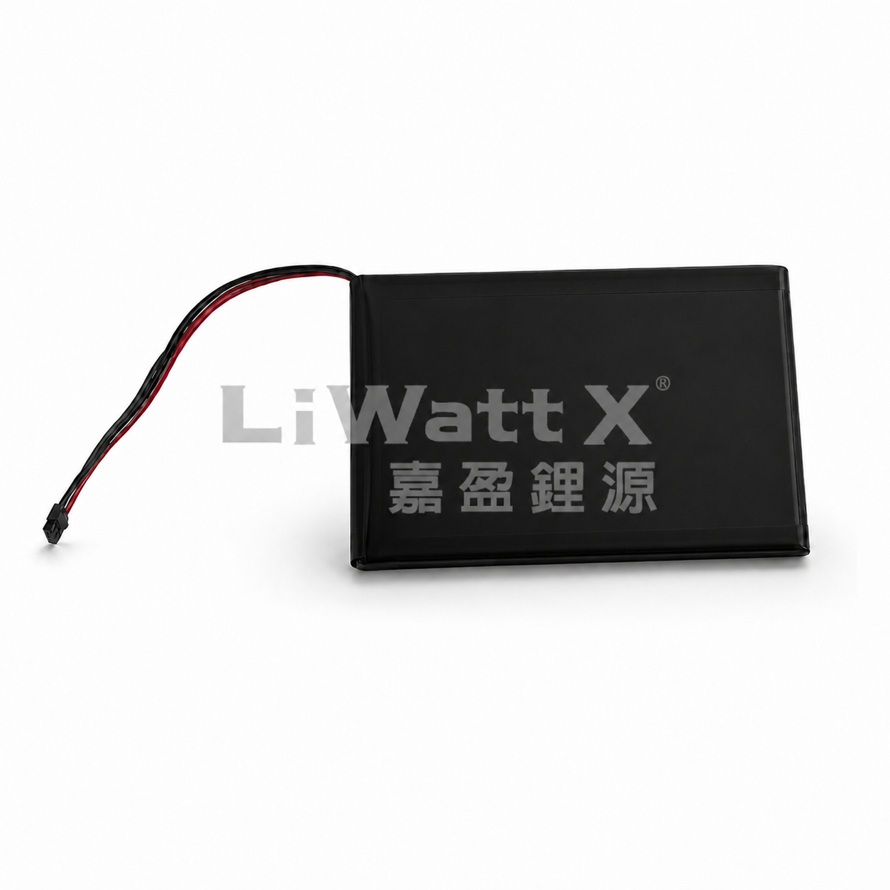 LWX-POS6100